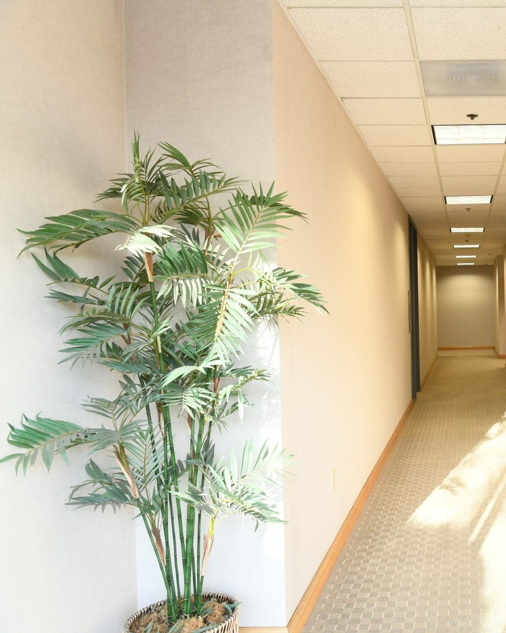 Couloir de bureaux clair et vide, employée en tenue verte passant la serpillère au fond, lumière du matin